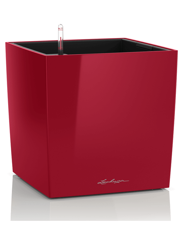 Lechuza Cube Premium All inclusive set scarlet red 30x30x30 cm - tomaflora
